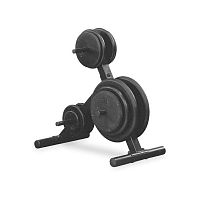 Стойка для дисков Body Solid SW-T14
