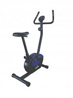 Велотренажер Royal Fitness RF-10 (RFIB-10)