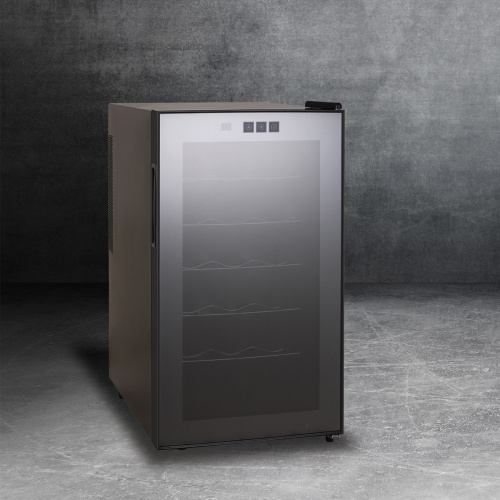Винный шкаф Temptech FW48SB фото 3
