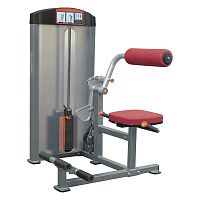 Тренажер для пресса и спины AeroFIT Functional IF8124