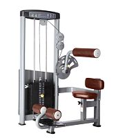Пресс-машина Bronze Gym MV-010 C