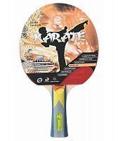 Ракетка для настольного тенниса Giant Dragon Karate ST12401