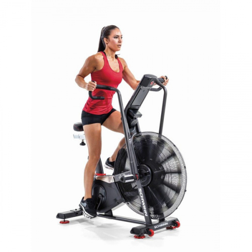 Велотренажер Schwinn Airdyne AD8 фото 10