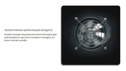 Винный шкаф Meyvel MV42-KBB2 фото 14
