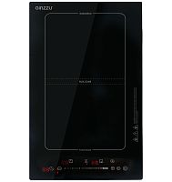 Встраиваемая индукционная варочная панель Ginzzu HCI-255