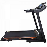 Беговая дорожка Royal Fitness RF-6