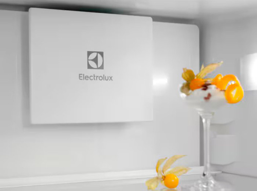 Встраиваемый холодильник Electrolux ENT6MD18S3 фото 5