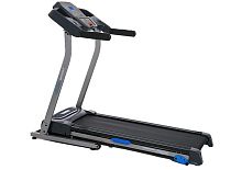 Беговая дорожка Royal Fitness RF-2 (F-53)